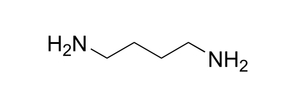1,4-DIAMINOBUTANE